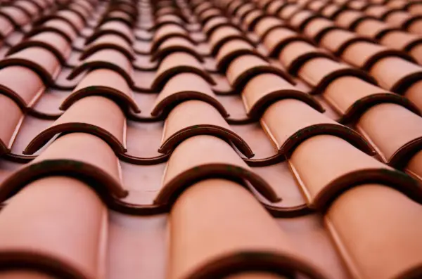 Copper Zinc Roof Coral Gables